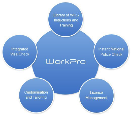 WorkPro Process